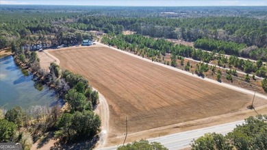 (private lake, pond, coastal) Commercial For Sale in Ellabell Georgia