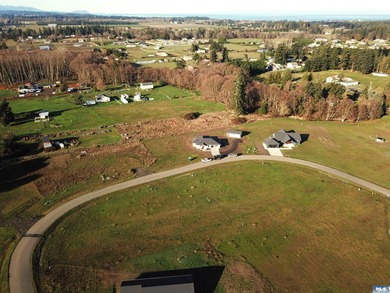Prime 1 acre building lot with Olympic Mountain View and paved - photo 8