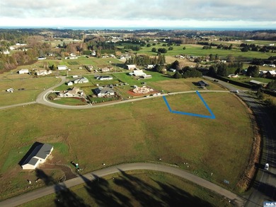 Prime 1 acre building lot with Olympic Mountain View and paved - photo 6