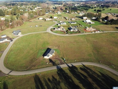 Prime 1 acre building lot with Olympic Mountain View and paved - photo 7
