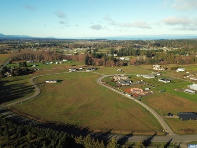 Prime 1 acre building lot with Olympic Mountain View and paved - photo 3