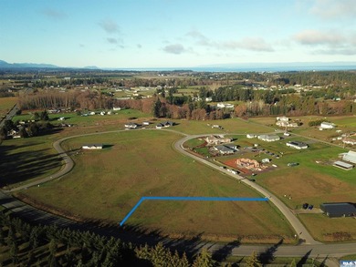 Prime 1 acre building lot with Olympic Mountain View and paved - photo 4
