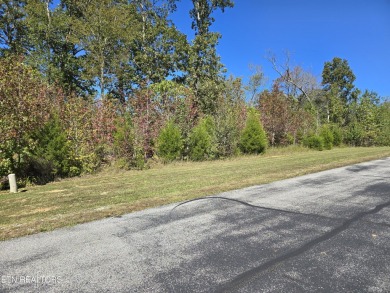 Lake Lot For Sale in Rockwood, Tennessee