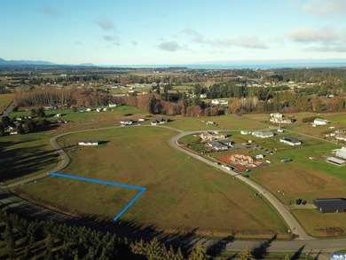 Prime 1 acre building lot with Olympic Mountain View and paved - photo 4