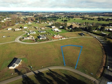 Prime 1 acre building lot with Olympic Mountain View and paved - photo 6