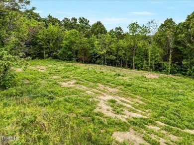 Cherokee Lake Lot Sale Pending in Rutledge Tennessee