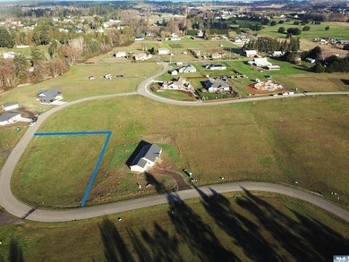 Prime 1 acre building lot with Olympic Mountain View and paved - photo 7