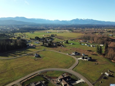 Prime 1 acre building lot with Olympic Mountain View and paved - photo 10
