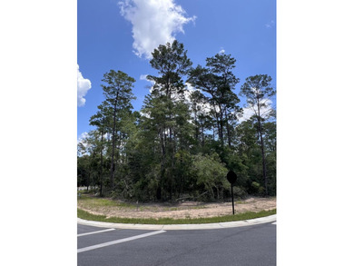 Build in Deer Moss Creek! Lot 102 for sale in Phase 11 DEER MOSS - photo 1