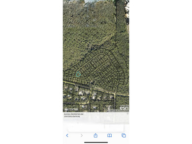 Build in Deer Moss Creek! Lot 102 for sale in Phase 11 DEER MOSS - photo 2