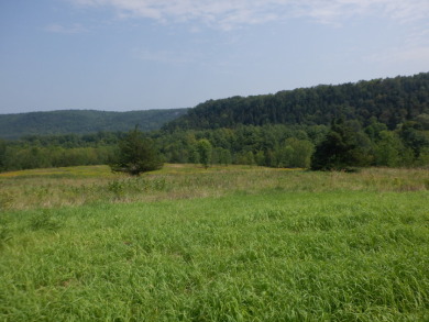 Hubbardton River Acreage For Sale in West Haven Vermont