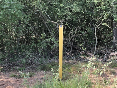 Lake Lot SOLD! in Marquez, Texas