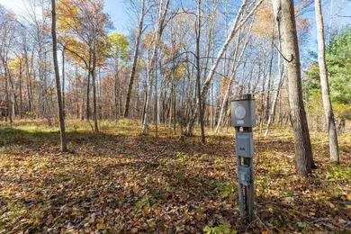 Welcome to an exceptional opportunity to own land in one of - photo 17