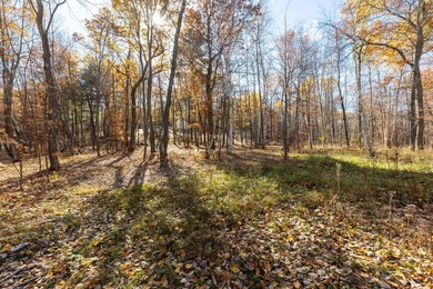 Welcome to an exceptional opportunity to own land in one of - photo 18
