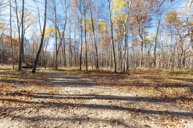 Welcome to an exceptional opportunity to own land in one of - photo 20