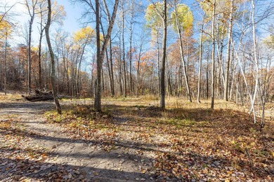 Welcome to an exceptional opportunity to own land in one of - photo 21