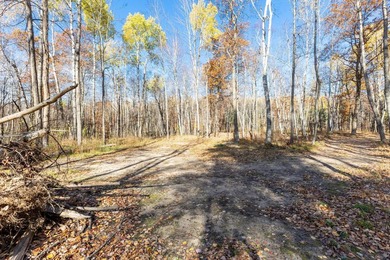 Welcome to an exceptional opportunity to own land in one of - photo 23
