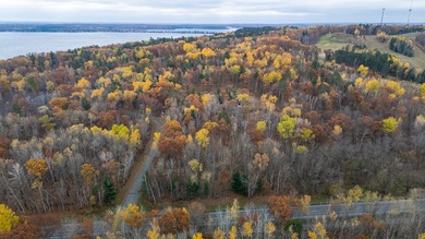 Welcome to an exceptional opportunity to own land in one of - photo 28