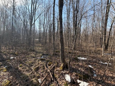 5.3 wooded acres on the South Fork of Main Creek. The property - photo 11