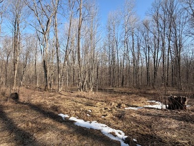 5.3 wooded acres on the South Fork of Main Creek. The property - photo 12