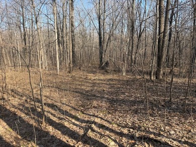 5.3 wooded acres on the South Fork of Main Creek. The property - photo 13
