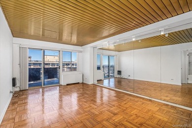 Elevate your lifestyle in this rare one-bedroom junior penthouse - photo 3
