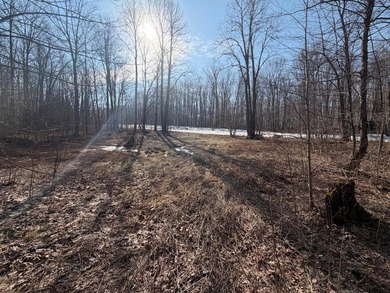 5.3 wooded acres on the South Fork of Main Creek. The property - photo 14