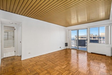 Elevate your lifestyle in this rare one-bedroom junior penthouse - photo 4