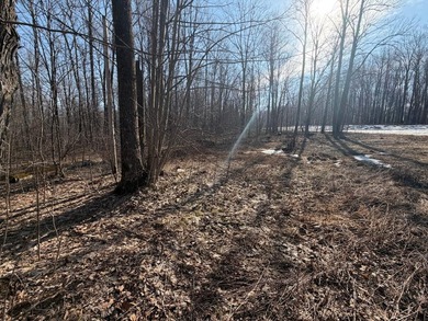 5.3 wooded acres on the South Fork of Main Creek. The property - photo 15