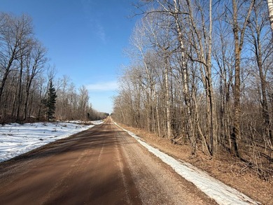 5.3 wooded acres on the South Fork of Main Creek. The property - photo 16