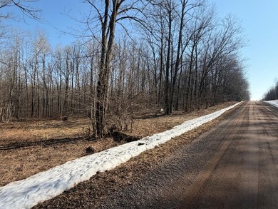 5.3 wooded acres on the South Fork of Main Creek. The property - photo 17