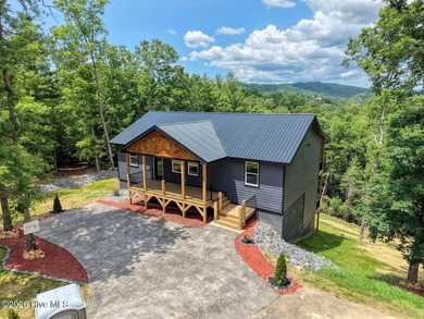 Hiwassee River - Cherokee County Home For Sale in Murphy North Carolina