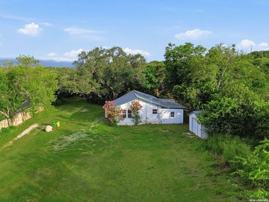 RARE 1-ACRE GEM IN HISTORIC HELOTES - NO HOA! Looking for - photo 32