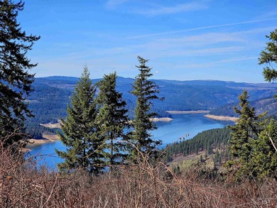 Wow, what a view on this 20 acre parcel overlooking Dworshak - photo 1