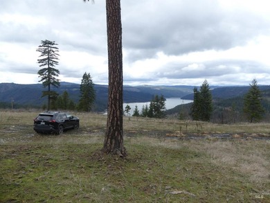 Wow, what a view on this 20 acre parcel overlooking Dworshak - photo 2