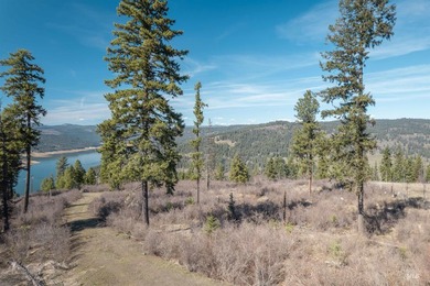 Wow, what a view on this 20 acre parcel overlooking Dworshak - photo 6