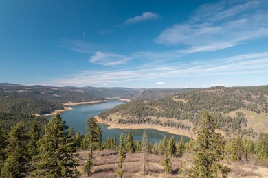 Wow, what a view on this 20 acre parcel overlooking Dworshak - photo 9