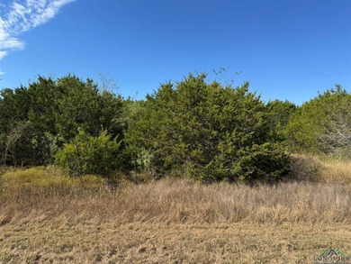 Lake Whitney Lot For Sale in Out Of Area Texas