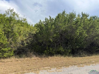Lake Whitney Lot For Sale in Out Of Area Texas