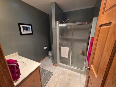 Experience the ultimate Northwoods lifestyle at this - photo 44