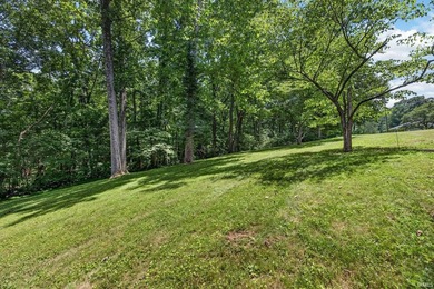 This lovely one-owner four bedroom, three and a half bath brick - photo 47