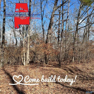 Building Lot located on Weiss Lake close to the Georgia line - photo 2