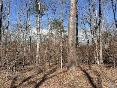 Building Lot located on Weiss Lake close to the Georgia line - photo 3
