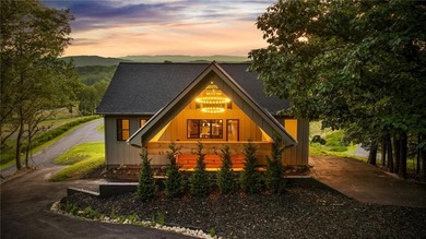 Lake Blue Ridge Home For Sale in Morganton Georgia