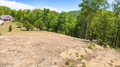 0.48-acre lake community lot located at the end of a cul-de-sac - photo 11