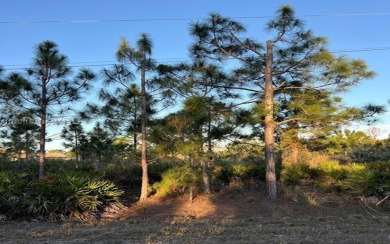 Lehigh Acres Area Lot For Sale in Lehigh Acres Florida