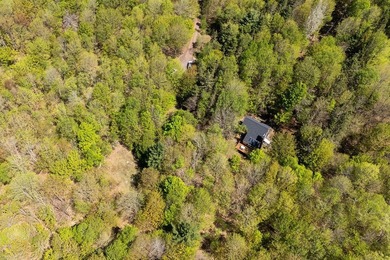 Bovina forest haven. Although this modern Danish-style house was - photo 8