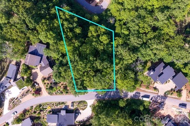 (private lake, pond, coastal) Lot For Sale in Asheville North Carolina