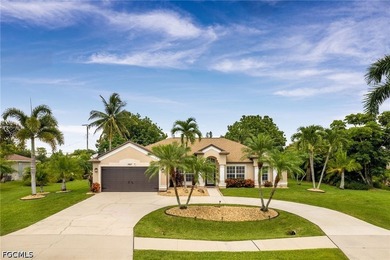 Welcome to your Dream home in Cape Coral! 3 LOT SITE!!! This - photo 43