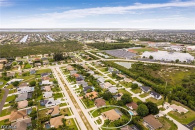 Welcome to your Dream home in Cape Coral! 3 LOT SITE!!! This - photo 44
